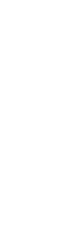 Qverse